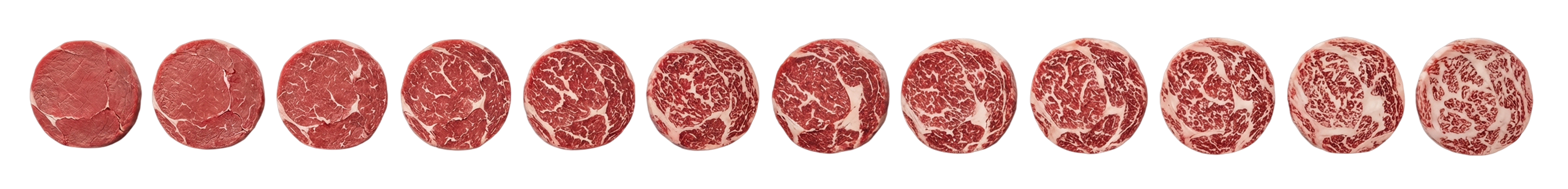 Beef marbling cross-sections from grade 1 (lean) to grade 12 (highest marbling)